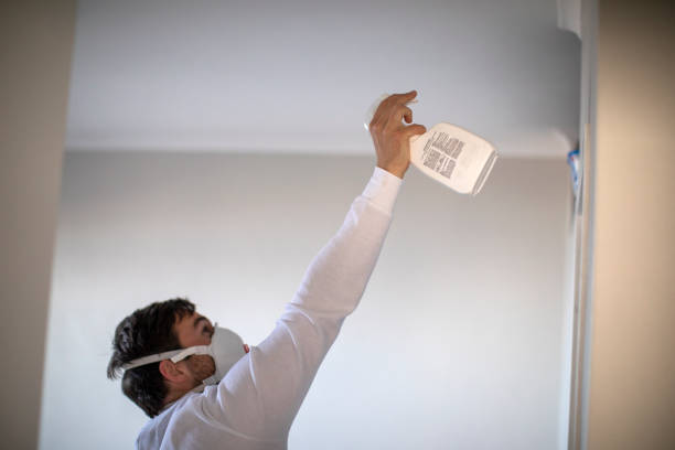 Trusted Philippi, WV Mold Remediation Experts